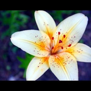 Meet your Posher, Tania